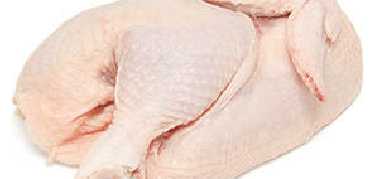 Grade A Halal Frozen Chicken Half Breast